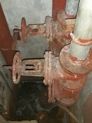 孚姆水泵,Formless水泵